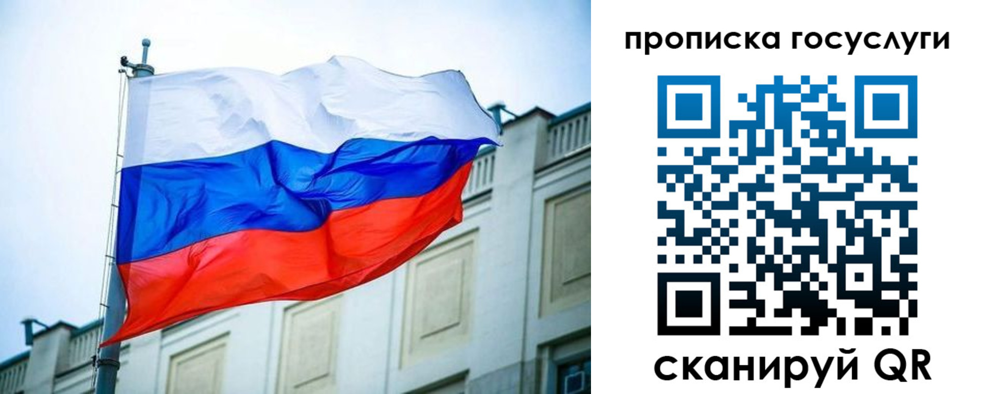 временная регистрация для всех в Мончегорске